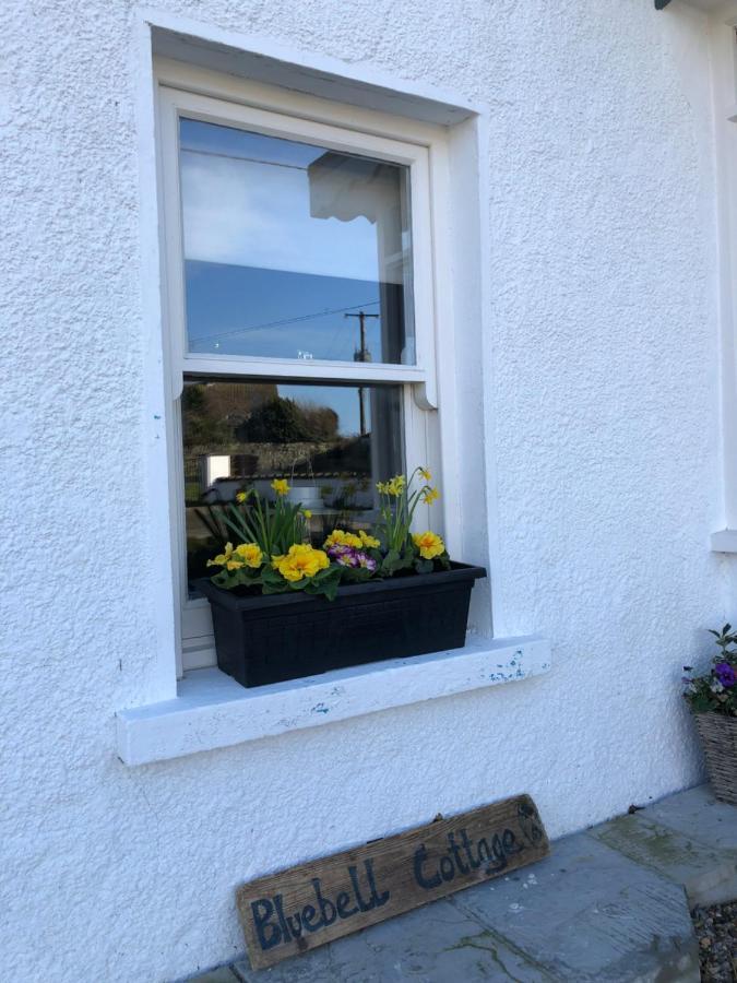 Bluebell Cottage 基尔莫尔码头 外观 照片